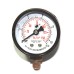 Pressure Gauge Bottom Connection 1/8 BSP (50MM / 2" Dial)